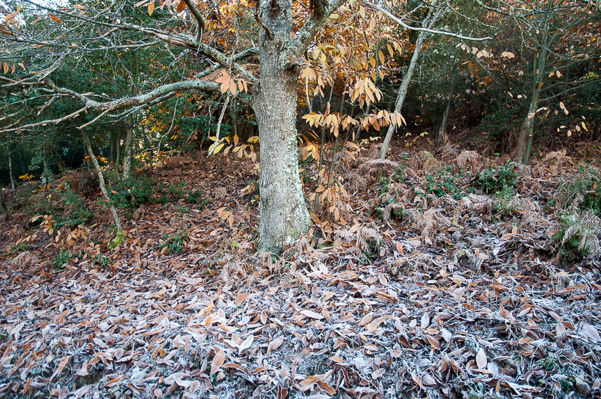 C 2013-12-08-10 